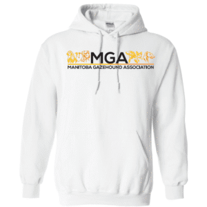 G185 Gildan Heavy Blend 8 oz., 50/50 Hooded Sweatshirt - White